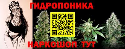 стафф Пыть-Ях
