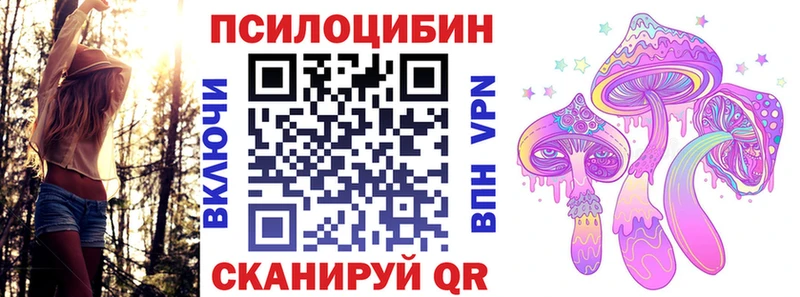 Галлюциногенные грибы Psilocybe  Сунжа 