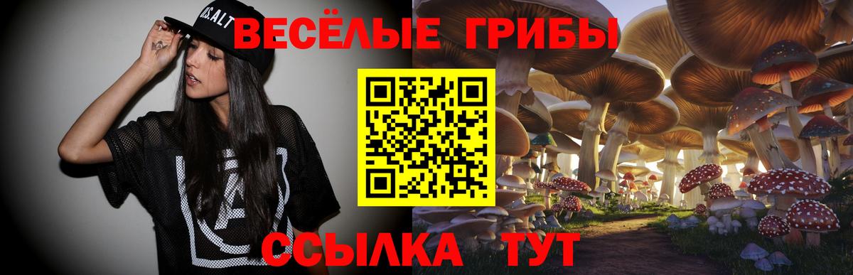 Псилоцибиновые грибы мицелий Сунжа